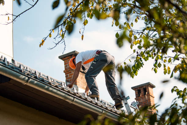 Best Roof Gutter Cleaning  in Tehachapi, CA